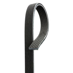 Belt DK080568