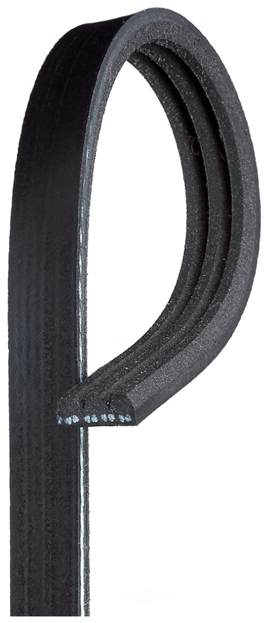 Belt K030384