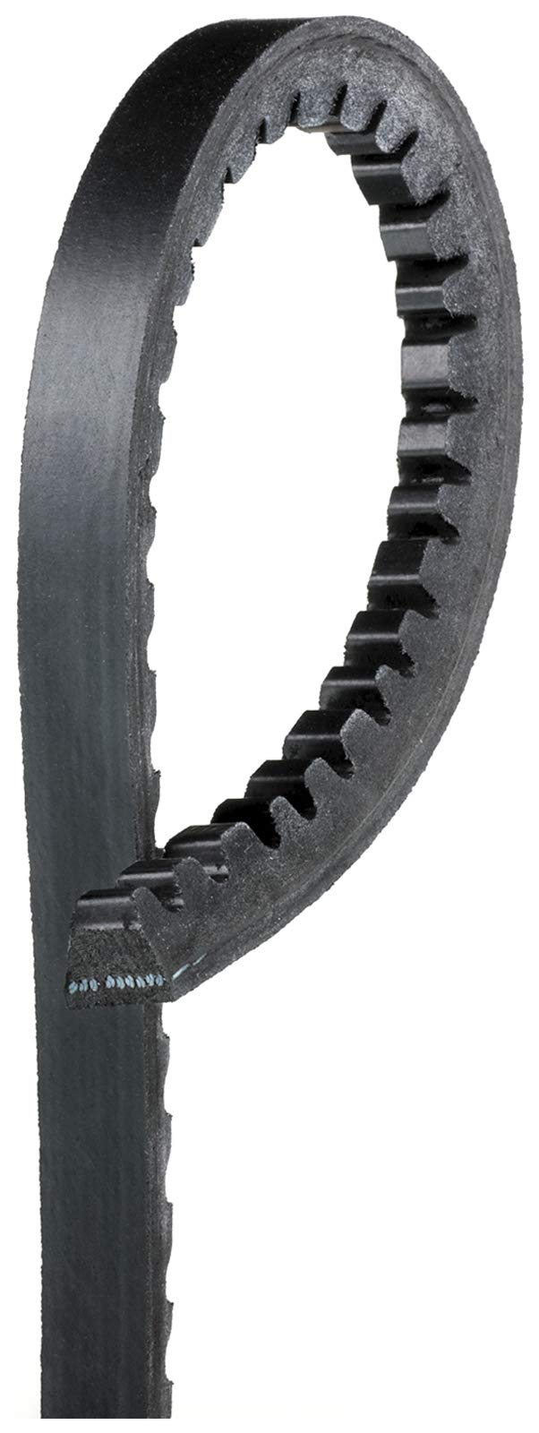 Automotive XL High Capacity V-Belt 7370