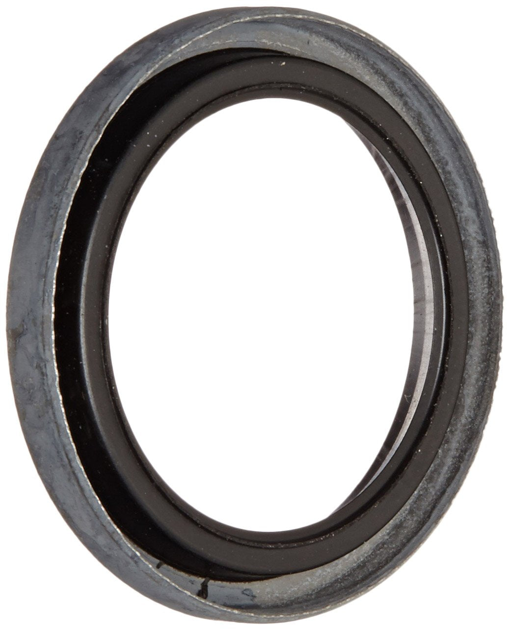 Bearing RW509-FR