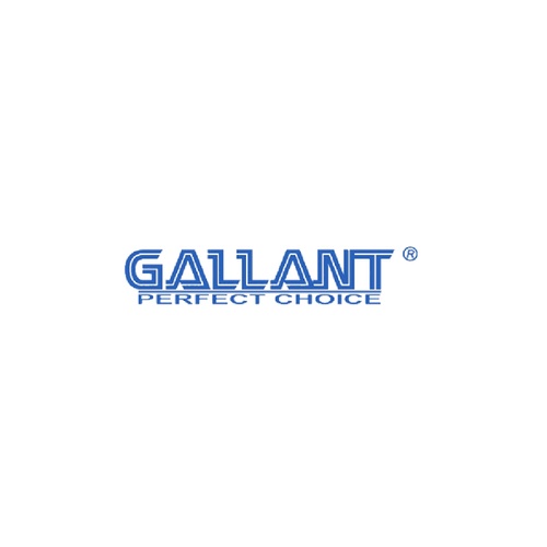 GALLANT GALLANT