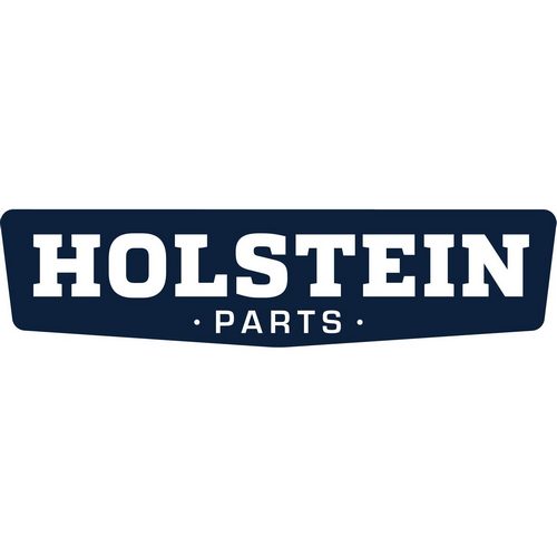 HOLSTEIN
