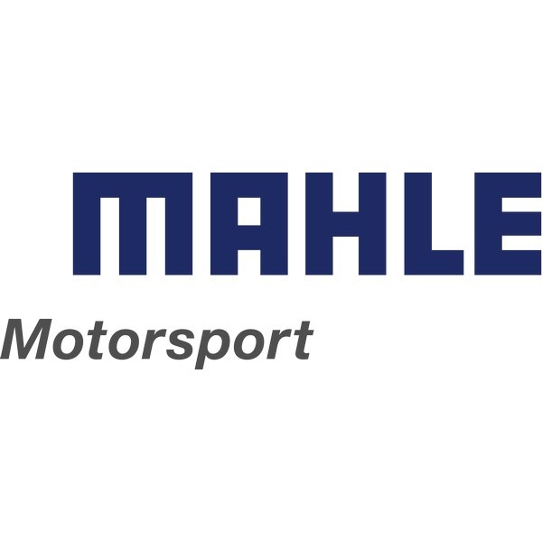 Mahle Motorsport
