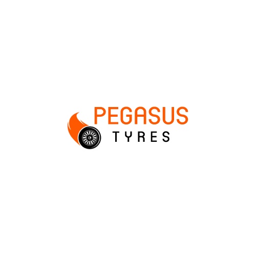 PEGASUS PEGASUS