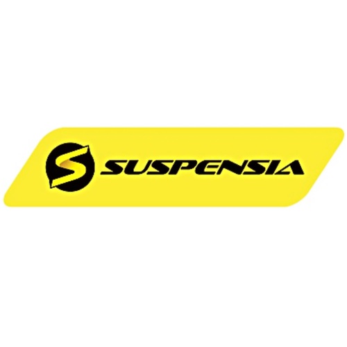SUSPENSIA