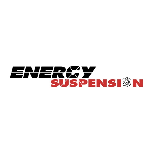 Energy Suspension 20.5105G 17-22 Tesla Model 3/Y Rear Sway Bar Bushing Set