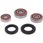 Pivot Works 25-1603-P Honda Wheel Bearing Kit Premium Bearings