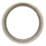 Ajusa 00976200 Gasket, Exhaust Pipe