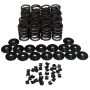 Howards Racing Components 98412-K11 Valve Spring Kit/Single Damper
