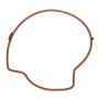 Ajusa 01085900 Gasket, Water Pump