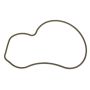 Ajusa 01129400 Gasket, Water Pump