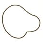 Ajusa 01134900 Gasket, Water Pump