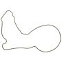 Ajusa 01234400 Gasket, Water Pump
