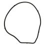 Ajusa 01261900 Gasket, Water Pump