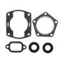 Vertex Pistons 711090 Vertex Gaskets  Ccw kioritz CCW 225 FC/1 Complete Gasket Kit w/ Oil Seals
