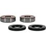 Pivot Works 25-1382-P A-Arm Kit