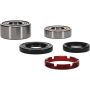 Pivot Works 25-1203-P Honda Wheel Bearing Kit Premium Bearings