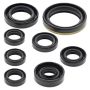 Vertex Pistons 822175 Vertex Gaskets 01-13 Yamaha WR250F Oil Seal Kit