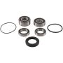 Pivot Works PWRWS-H17-000 2014 Honda CTX1300 PW Rear Wheel Bearing Kit