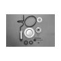 Walbro GCA748-1 Fuel Pump/Filter Assembly
