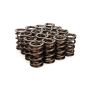 MANLEY MAN221425-16 1.640 NexTek Valve Springs