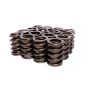EDELBROCK EDE5767 1.460in Valve Springs - BBF