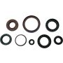 Vertex Pistons 822381 Vertex Gaskets 12-14 Arctic Cat 550 EFI 4x4 Oil Seal Kit
