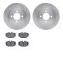Dynamic Friction 6602-31067 Rotor Kit