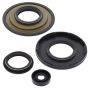 Vertex Pistons 55195 Vertex Gaskets 1999 Ski-Doo MX Z X 440 LC Oil Seal Kit