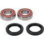 Pivot Works 25-1738-P Can-Am Wheel Bearing Kit Premium Bearings