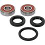 Pivot Works 25-1319-P Honda, Yamaha Wheel Bearing Kit Premium Bearings