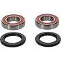 Pivot Works 25-1293-P Wheel Bearing Kit