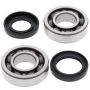 All Balls Racing 24-1064 84-86 Yamaha IT200 Crank Shaft Bearing Kit