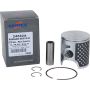 Vertex Pistons 24582A Vertex Piston 14-24 Kawasaki KX 85 85cc Cast Race Evolution Piston Kit