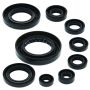 QuadBoss 564703 15-20 Honda SXS500 Pioneer Oil Seal Set