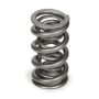 PAC RACING SPRINGS PACPAC-1357-1 1.500 Dual Valve Spring (1pk)