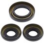 All Balls Racing 25-2001-5 88-00 Honda TRX300FW Fourtrax 4x4 Differential Seal Only Kit Front