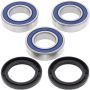 All Balls Racing 25-1101 1991 KTM LC4 500 Wheel Bearing Kit Rear
