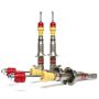 Skunk2 96-00 Honda Civic Sport Shocks (Set of 4)
