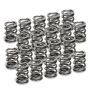 Supertech SPR-V2093-4-20S VW VR6 Dual Valve Spring - Set of 20