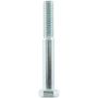 ALLSTAR PERFORMANCE ALL16228 Hex Head Bolt 5/16-18 x 2-1/2 Grade 5 10pk