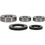 Pivot Works 25-1393-P Kawasaki, Suzuki Wheel Bearing Kit Premium Bearings