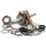 Hot Rods CBK0183 05-11 Honda TRX 500 FE 500cc Bottom End Kit