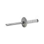 ALLSTAR PERFORMANCE ALL18093 Lg Hd Rivet Silver 250pk Multi Grip