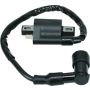 QuadBoss 402276 04-05 Polaris ATP 330 4x4 Ignition Coil