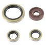 Vertex Pistons 822374 Vertex Gaskets 21-23 Gas-Gas EX450F Oil Seal Kit