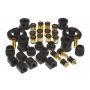 Prothane 00-04 Ford Focus/SVT Total Kit - Black