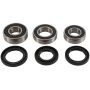Pivot Works PWRWK-G01-001 03-11 Gas-Gas EC125 PW Rear Wheel Bearing Kit