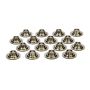 PAC RACING SPRINGS PACPAC-R450-16 1.480 TI Valve Spring Retainers - Mini 8 Deg