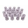 PAC RACING SPRINGS PACPAC-1396-16 1.574 Dual Valve Springs (16)